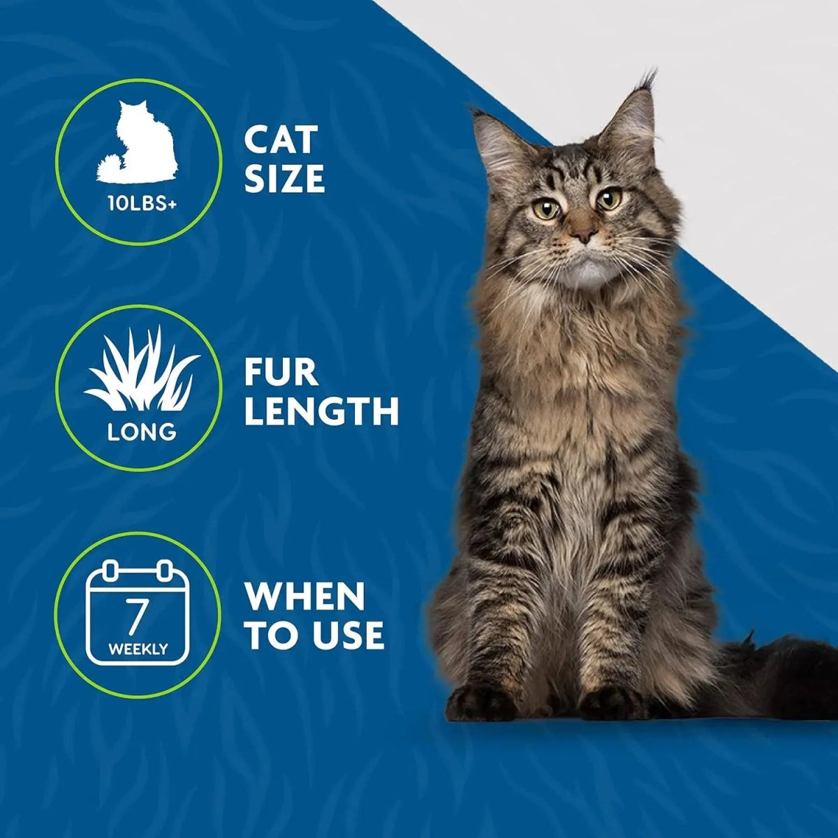 FURminator Cepillo Deslanador para Pelo Corto - Gatos Medianos y Grandes - FridaPets - Gato - Accesorios - Furminator