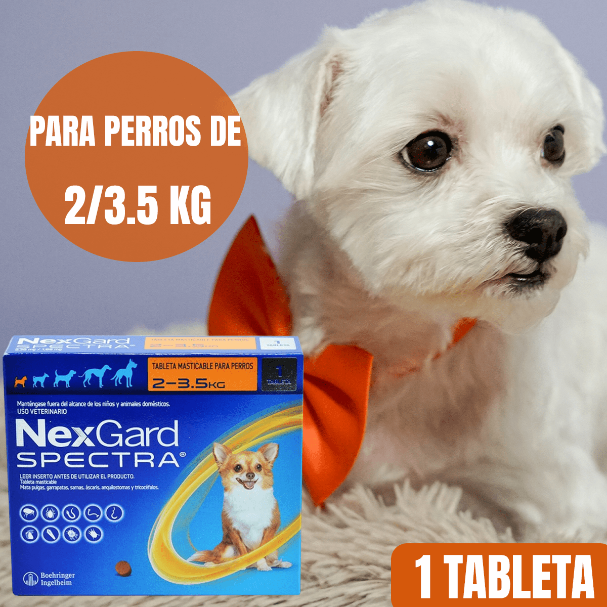 NEXGARD ANTIPULGAS Y GARRAPATAS PARA PERROS - FridaPets - Perro - Salud y bienestar - FridaPets