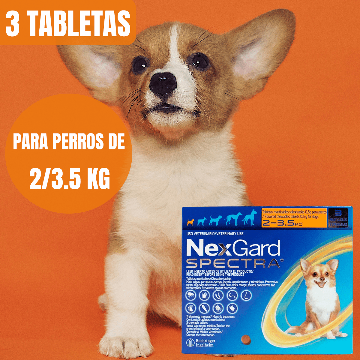 NEXGARD SPECTRA (3 TABLETAS) - FridaPets - Perro - Salud y bienestar - Nexgard