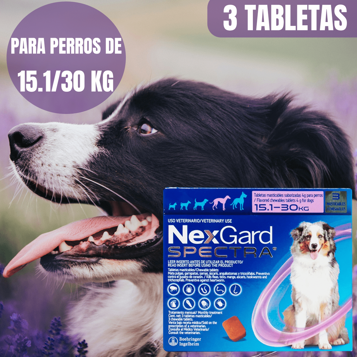 NEXGARD SPECTRA (3 TABLETAS) - FridaPets - Perro - Salud y bienestar - Nexgard
