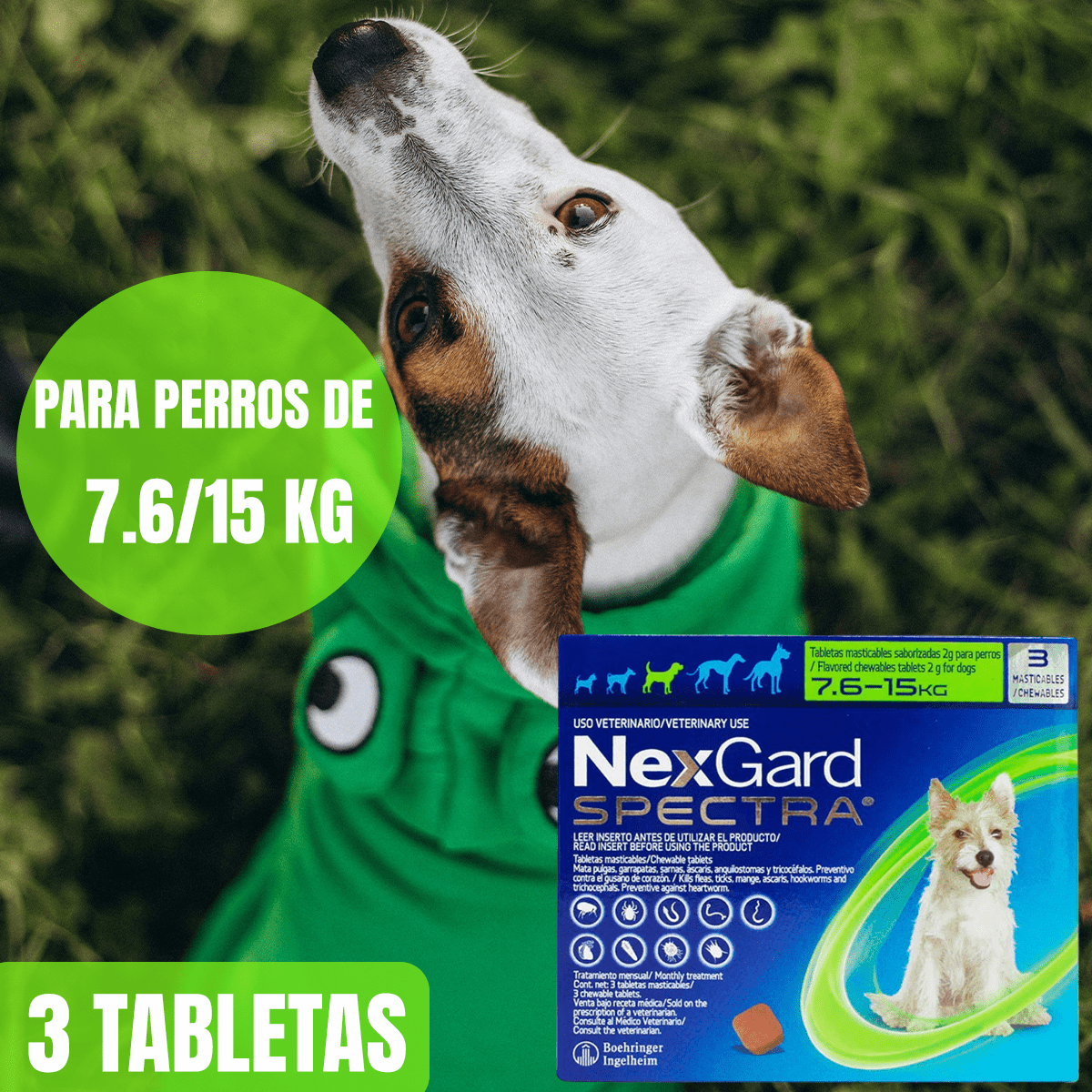NEXGARD SPECTRA (3 TABLETAS) - FridaPets - Perro - Salud y bienestar - Nexgard