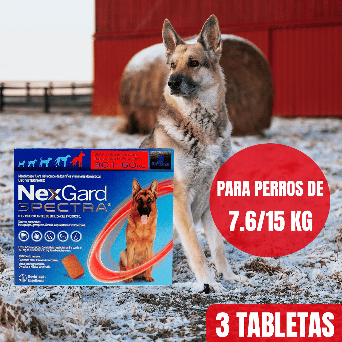 NEXGARD SPECTRA (3 TABLETAS) - FridaPets - Perro - Salud y bienestar - Nexgard