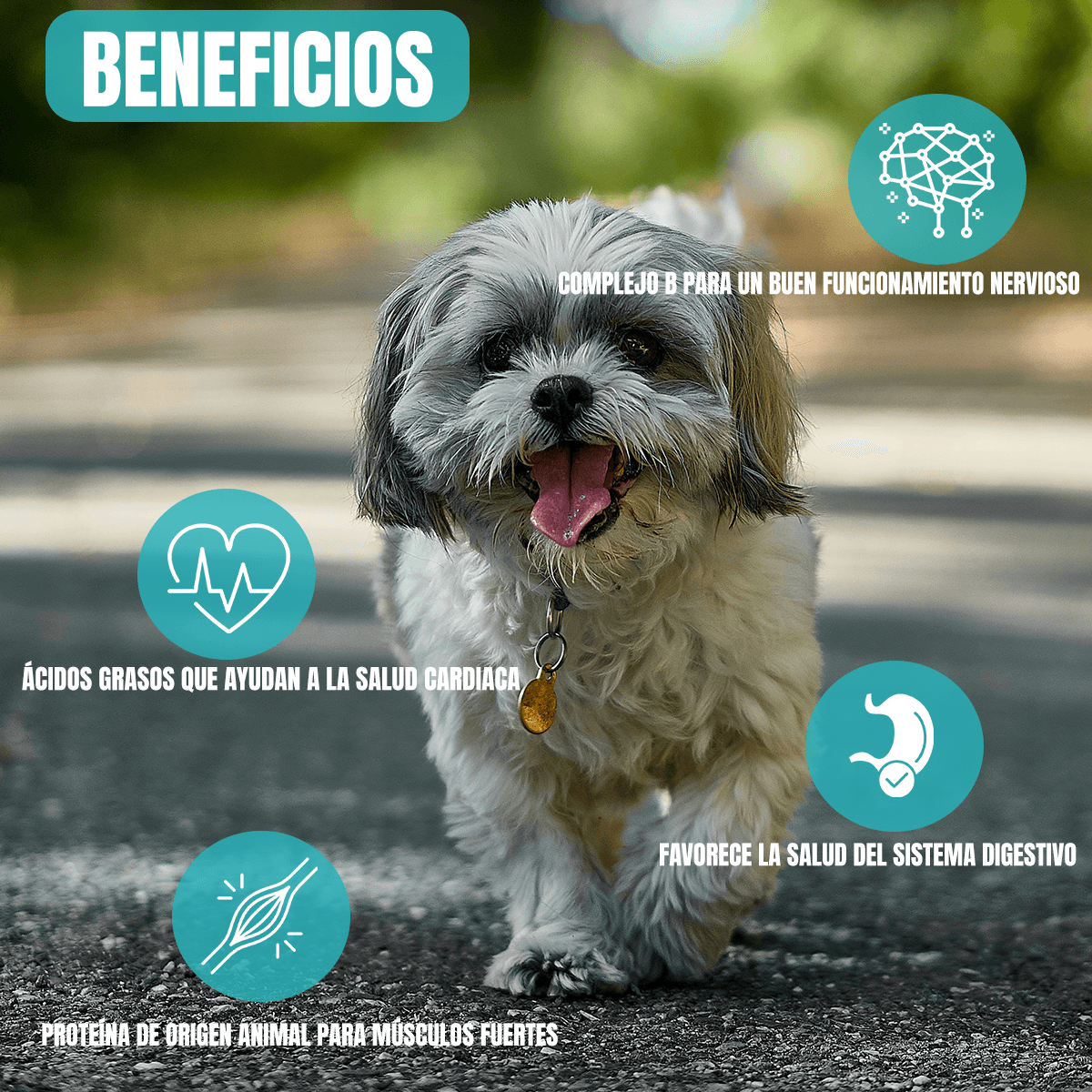 Nucan Perro Adulto Raza Pequeña 15kg con Frida Wipes de Regalo - FridaPets - Perro - Alimento - Seco - Nucan