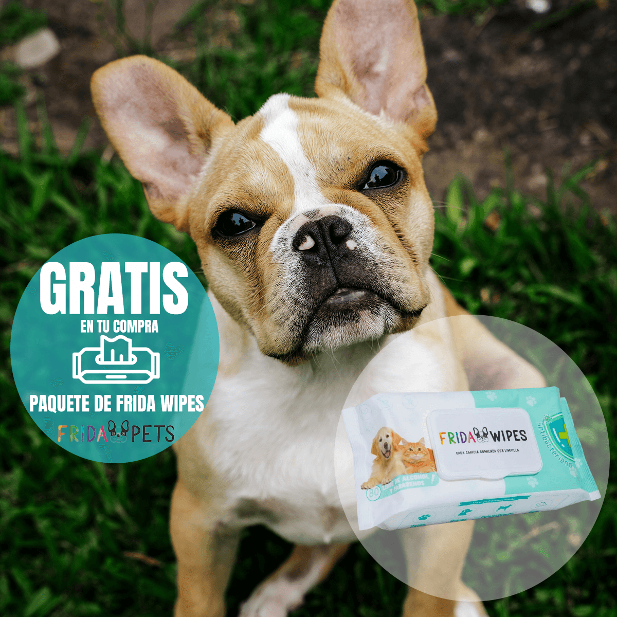 Nucan Perro Adulto Raza Pequeña 15kg con Frida Wipes de Regalo - FridaPets - Perro - Alimento - Seco - Nucan