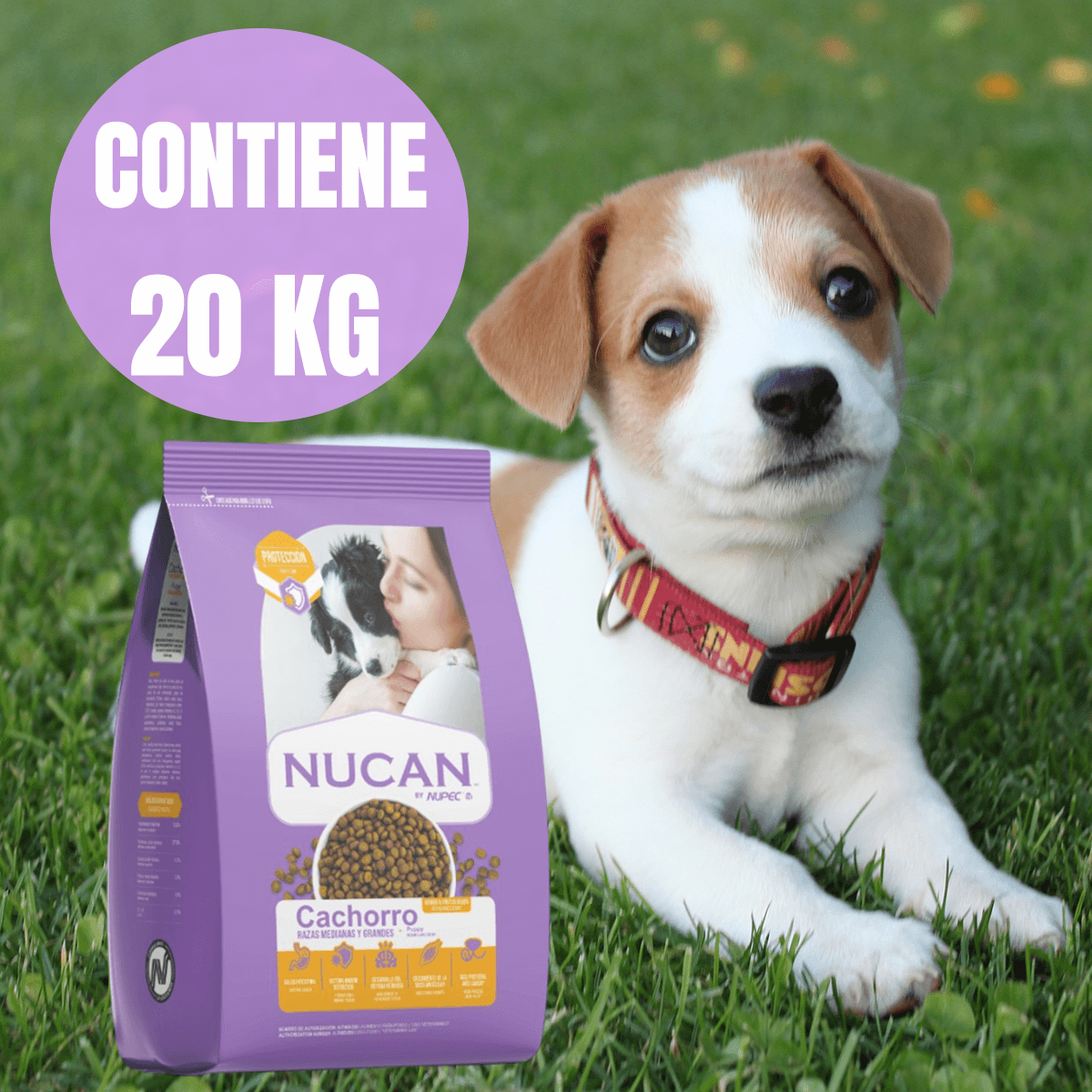 Nucan Perro Cachorro 20kg con Regalo Sorpresa - FridaPets - Perro - Alimento - Seco - Nucan