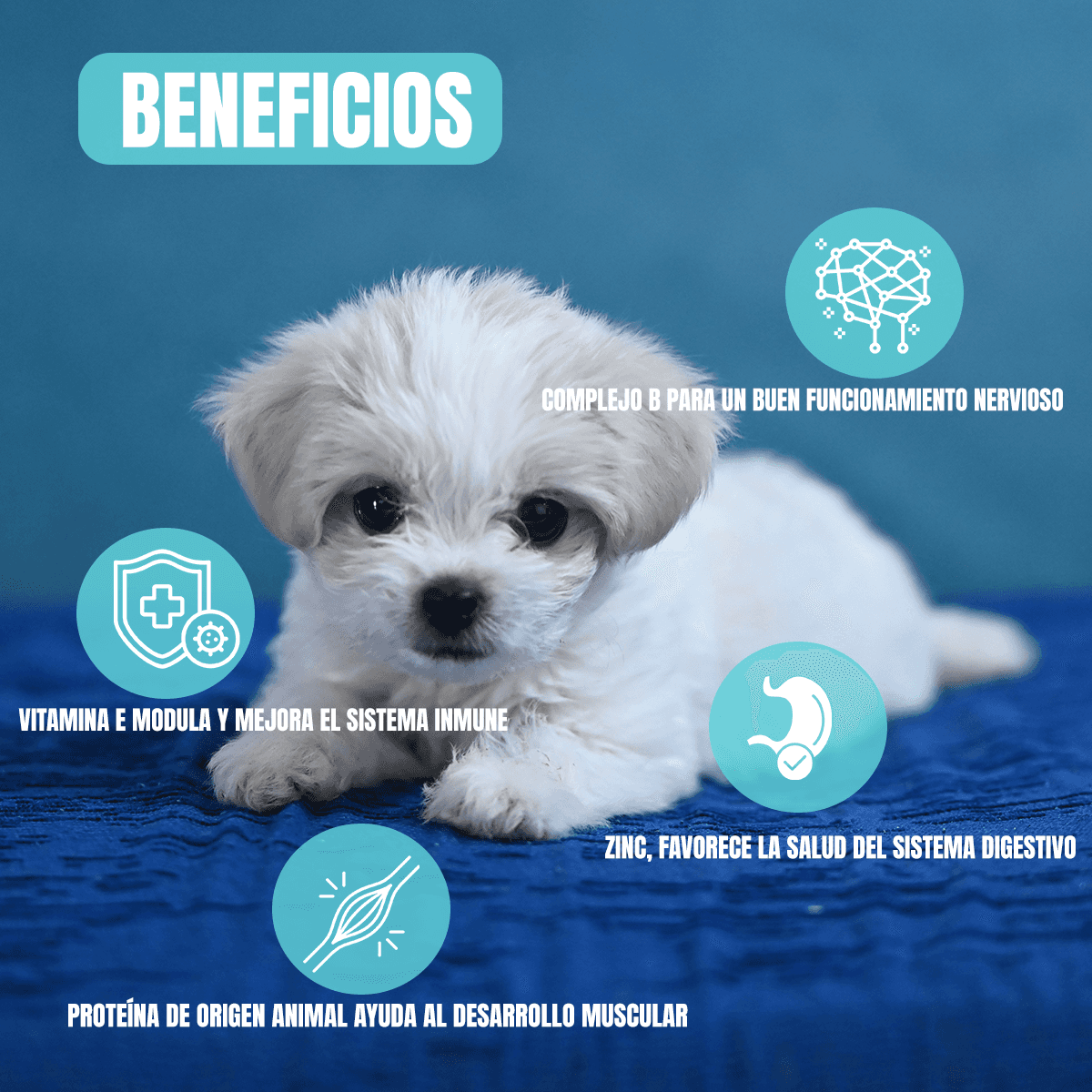 Nucan Perro Cachorro de Razas Pequeñas con Frida Wipes de Regalo - FridaPets - Perro - Alimento - Seco - Nucan