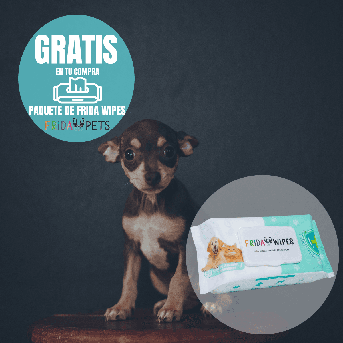 Nucan Perro Cachorro de Razas Pequeñas con Frida Wipes de Regalo - FridaPets - Perro - Alimento - Seco - Nucan