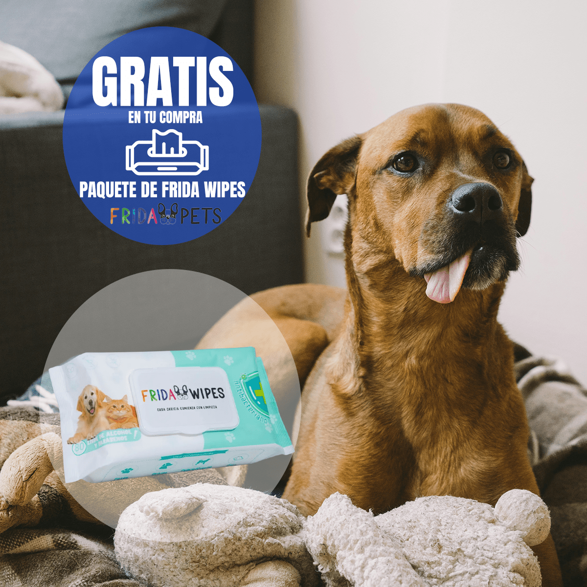 Nucan Perro Senior 15 kg con Frida Wipes de Regalo - FridaPets - Perro - Alimento - Seco - FridaPets