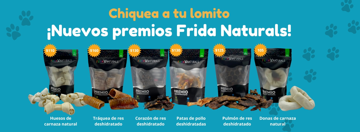 FridaPets