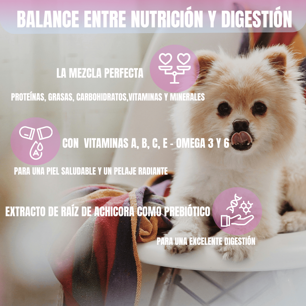 NUPEC ADULTO RAZAS PEQUEÑAS - FridaPets - Perro - Alimento - Seco - Nupec