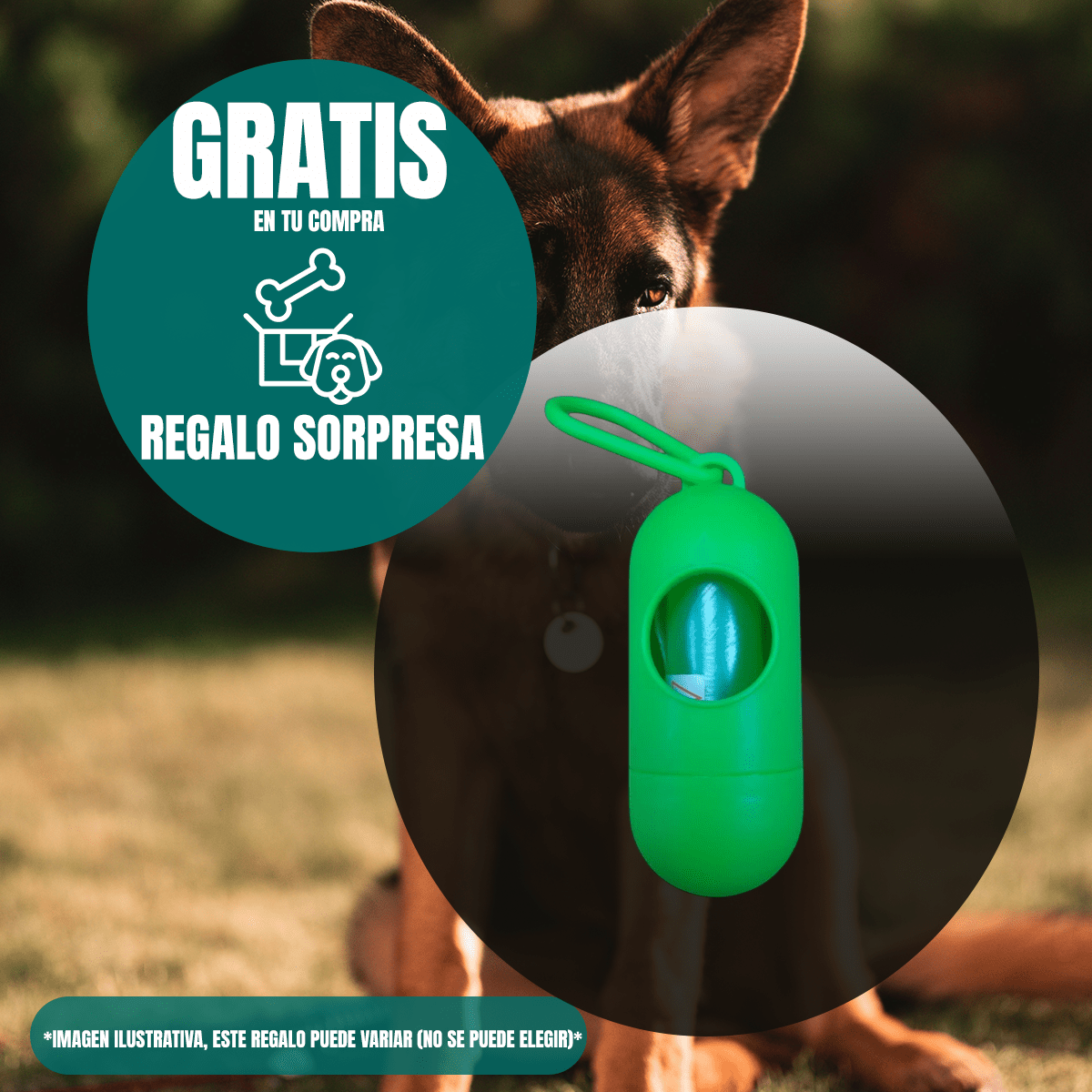 Nupec Alimento Húmedo digestivo + Control de Peso - FridaPets - Perro - Alimento - Húmedo - Nupec