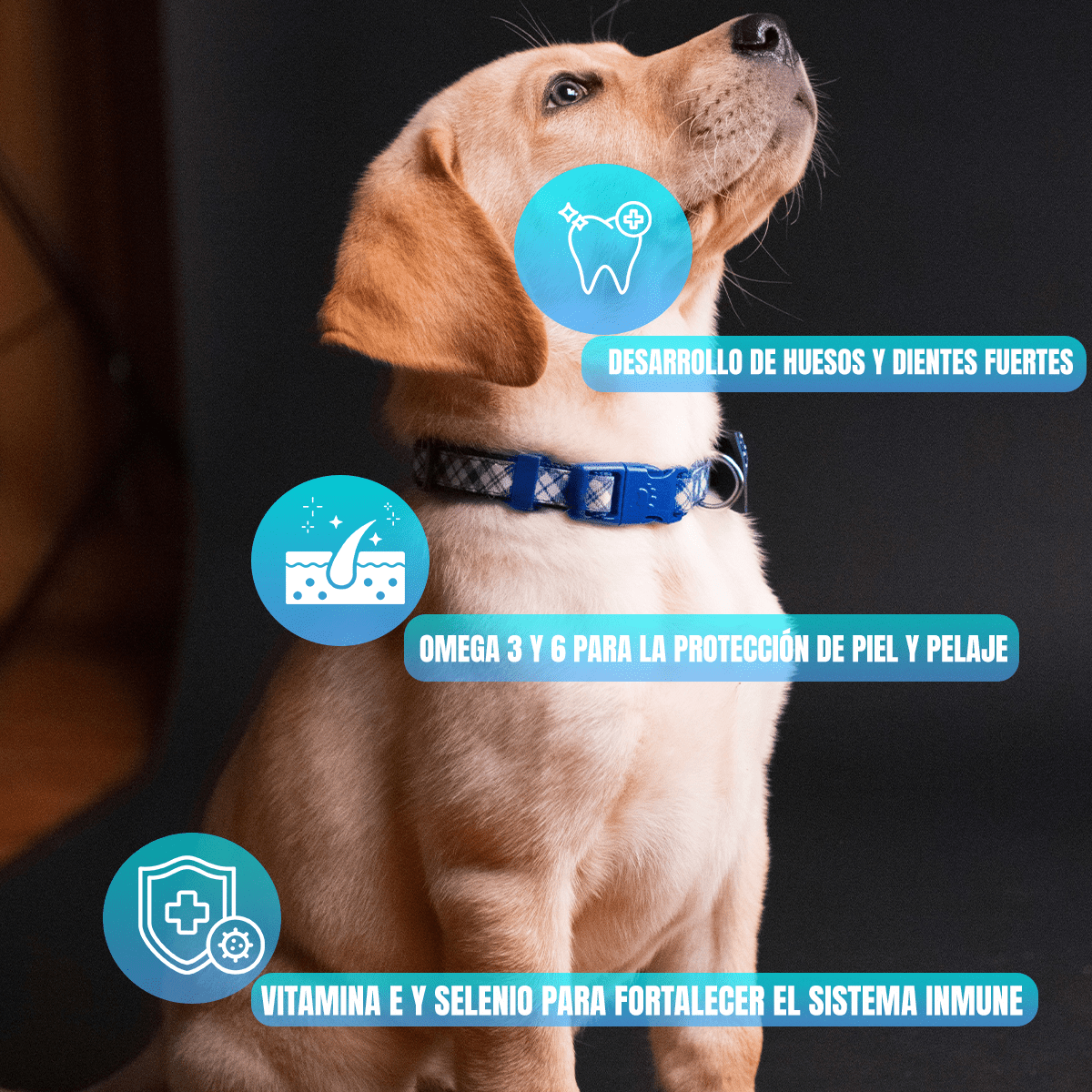 NUPEC CACHORRO 20KG + TOALLITAS HUMEDAS PARA MASCOTAS - FridaPets - Perro - Alimento - Seco - Nupec