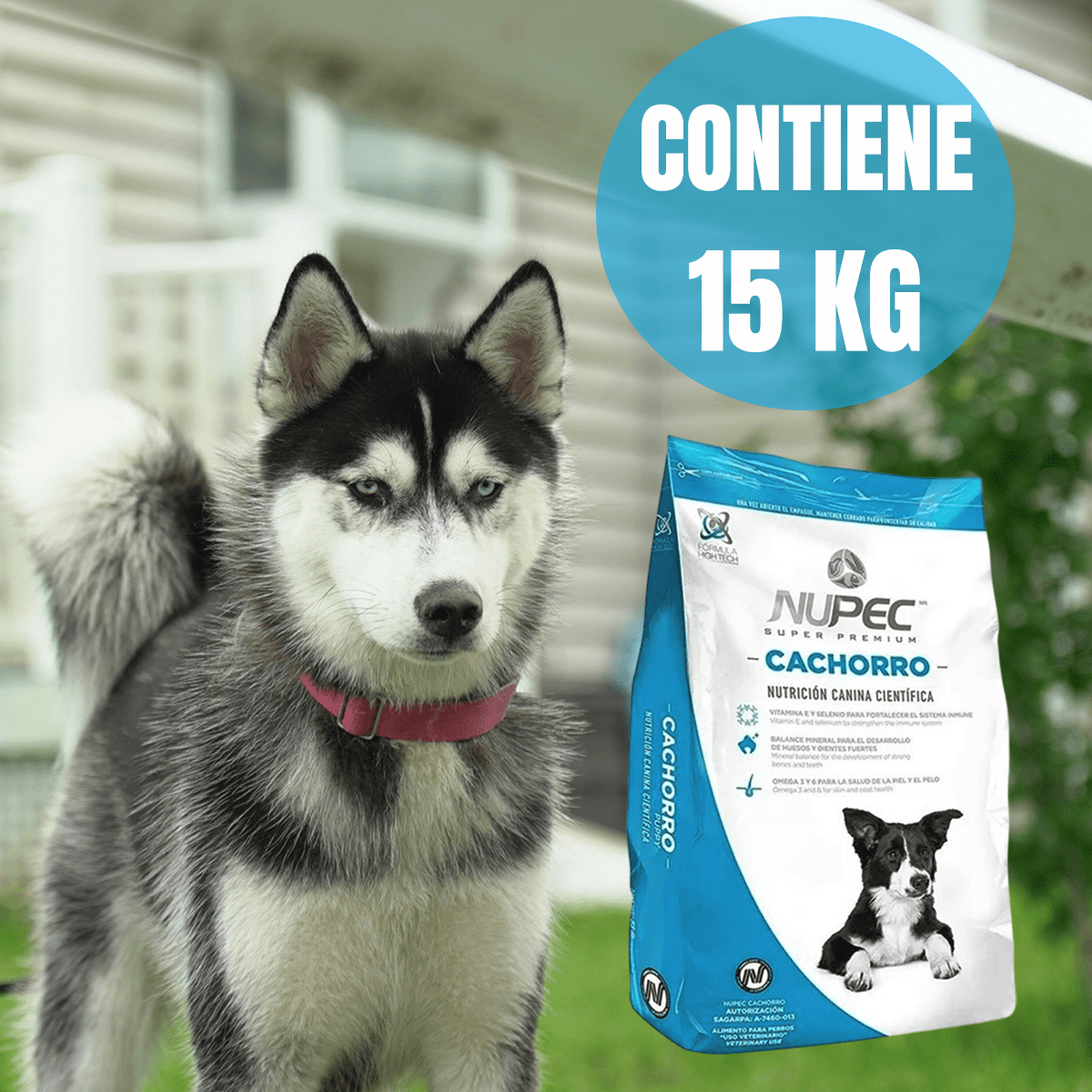 NUPEC CACHORRO - FridaPets - Perro - Alimento - Seco - Nupec