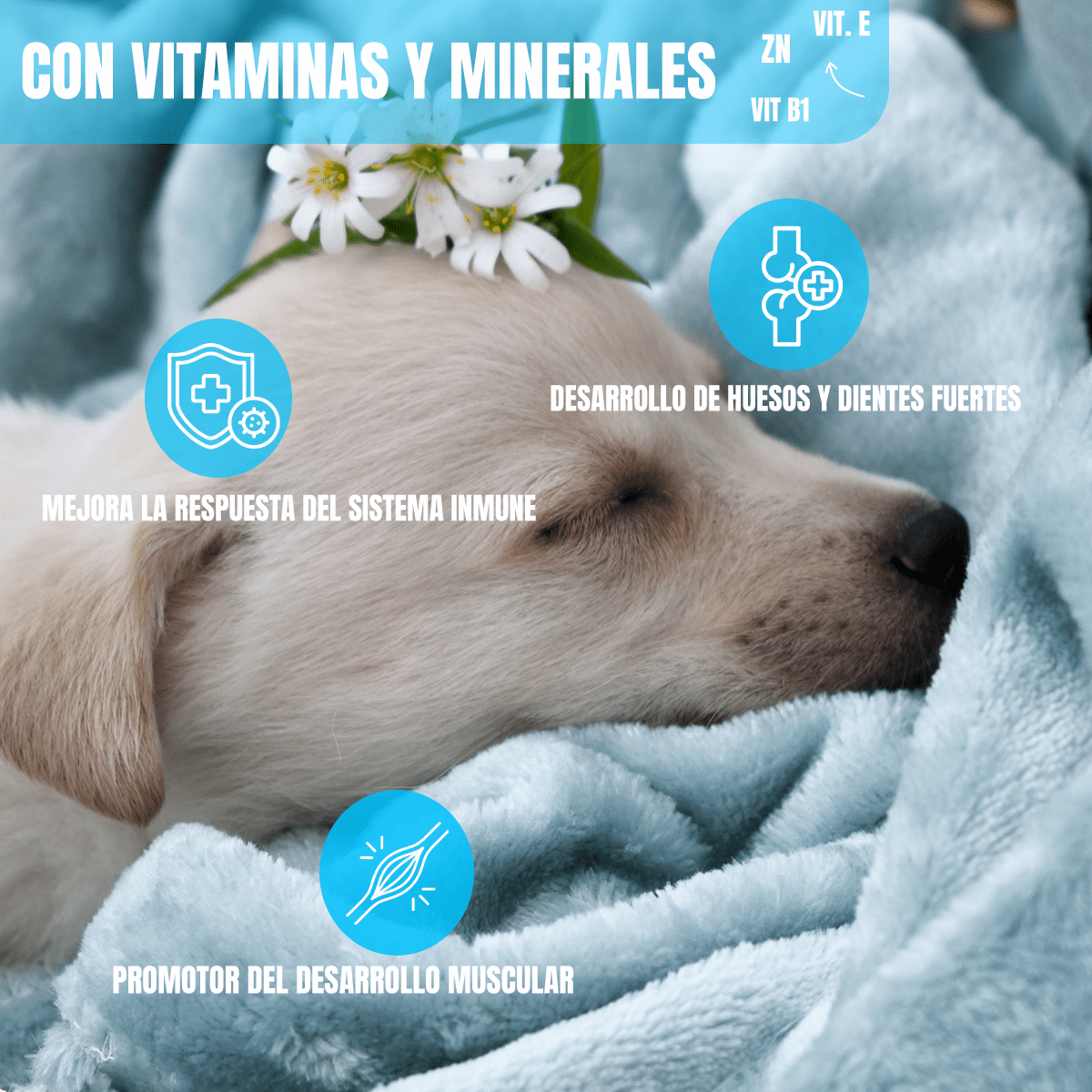 Nupec Cachorro Paquete 30 Latas Alimento Húmedo + Regalo - FridaPets - Perro - Alimento - Húmedo - Nupec