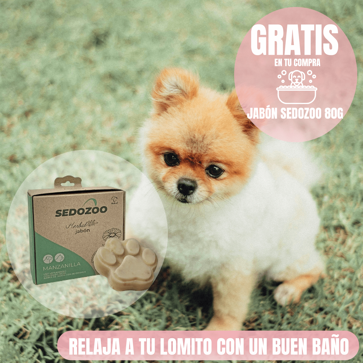 Nupec Cachorro Raza Mini 3kg + Jabón Sedozoo Herbal - FridaPets - Perro - Alimento - Seco - Nupec