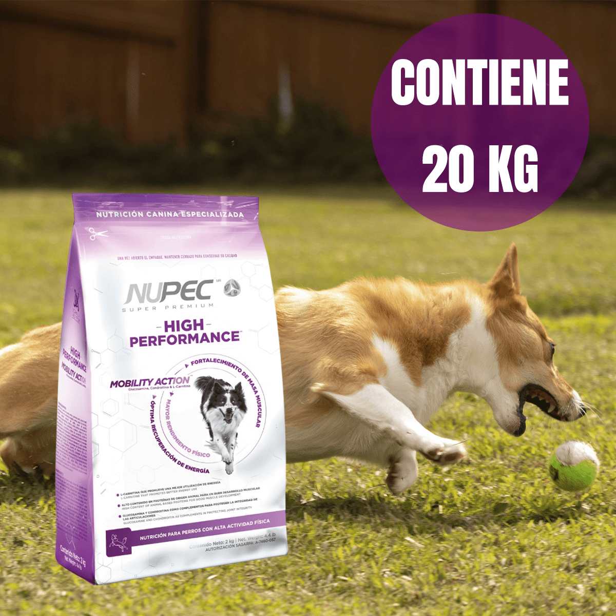 NUPEC HIGH PERFORMANCE - FridaPets - Perro - Alimento - Seco - Nupec
