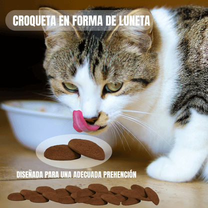 Nupec Indoor gato adulto 5kg + Regalo bola catnip - FridaPets - Gato - Alimento - Seco - Nupec