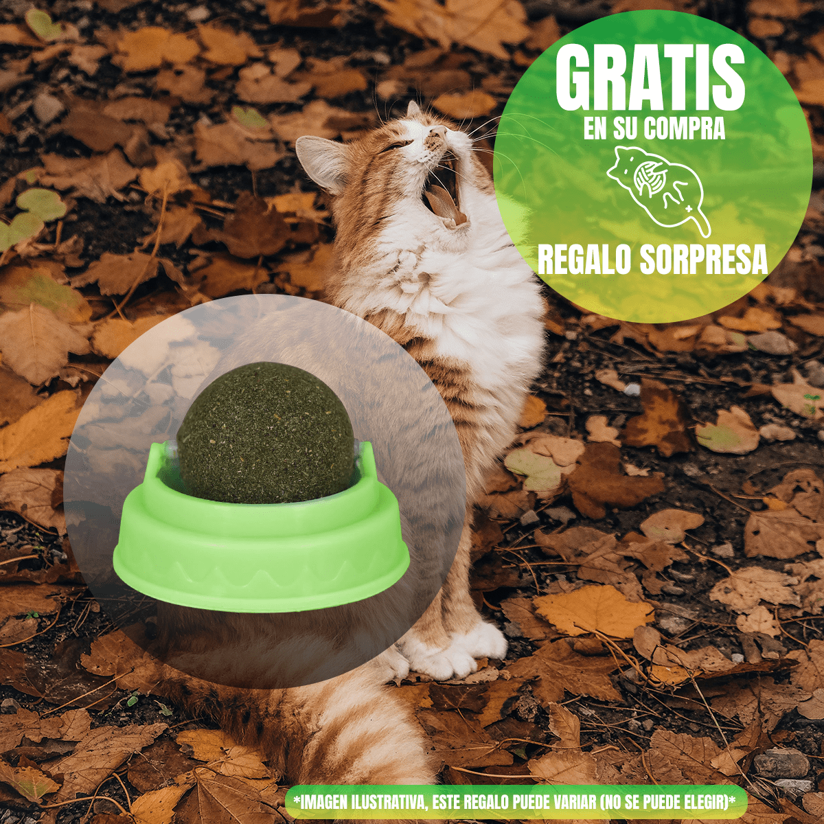 Nupec Indoor gato adulto 5kg + Regalo bola catnip - FridaPets - Gato - Alimento - Seco - Nupec
