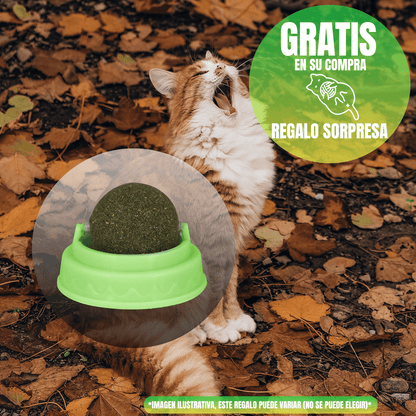 Nupec Indoor gato adulto 5kg + Regalo bola catnip - FridaPets - Gato - Alimento - Seco - Nupec
