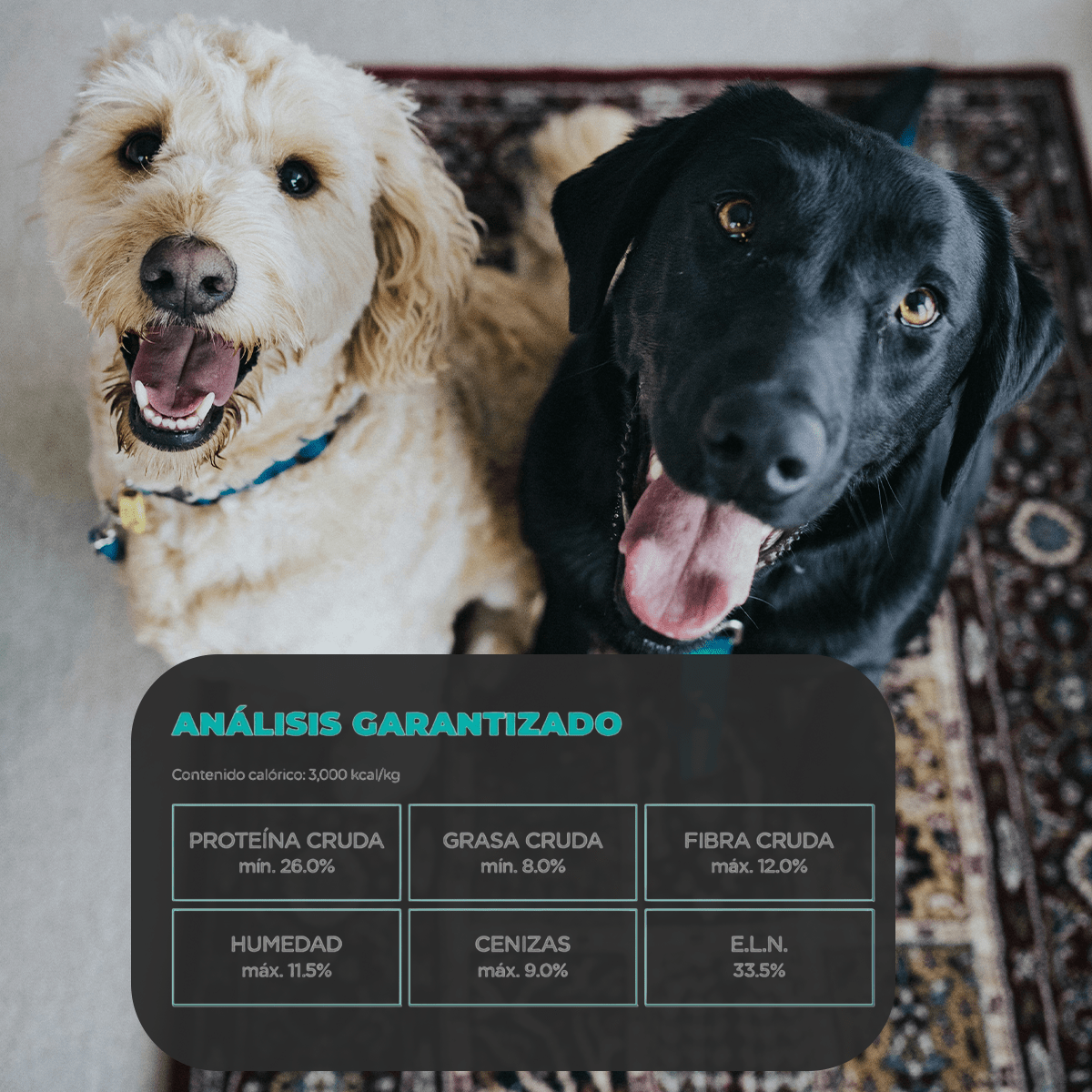 NUPEC WEIGHT CONTROL - FridaPets - Perro - Alimento - Seco - Nupec