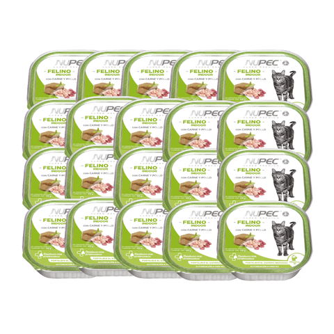 Charolas NUPEC Felino Indoor con etiquetas verdes, dispuestas en filas.