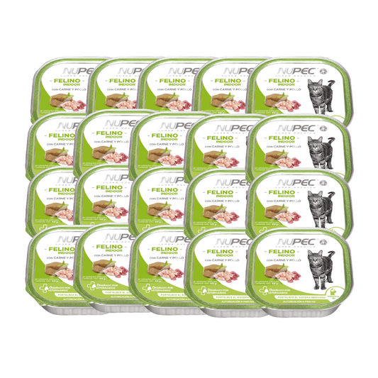 Charolas NUPEC Felino Indoor con etiquetas verdes, dispuestas en filas.