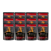 Doce sobres de Purina Pro Plan Adult para perros, con franjas rojas y la imagen de un golden retriever.