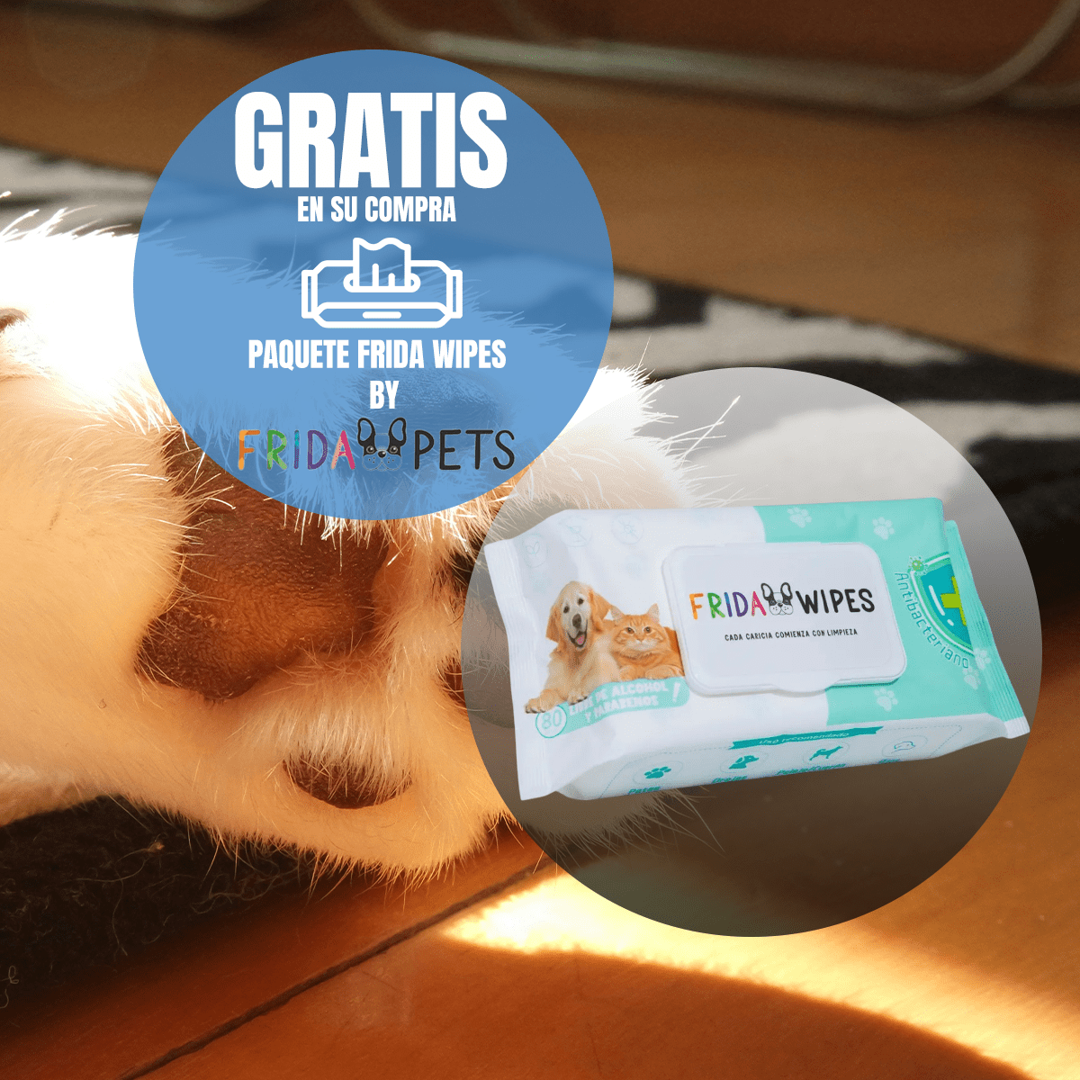 Pack Excellent Gato Adulto Urinary 7.5kg + Toallitas Húmedas - FridaPets - Gato - Alimento - Seco - Excellent