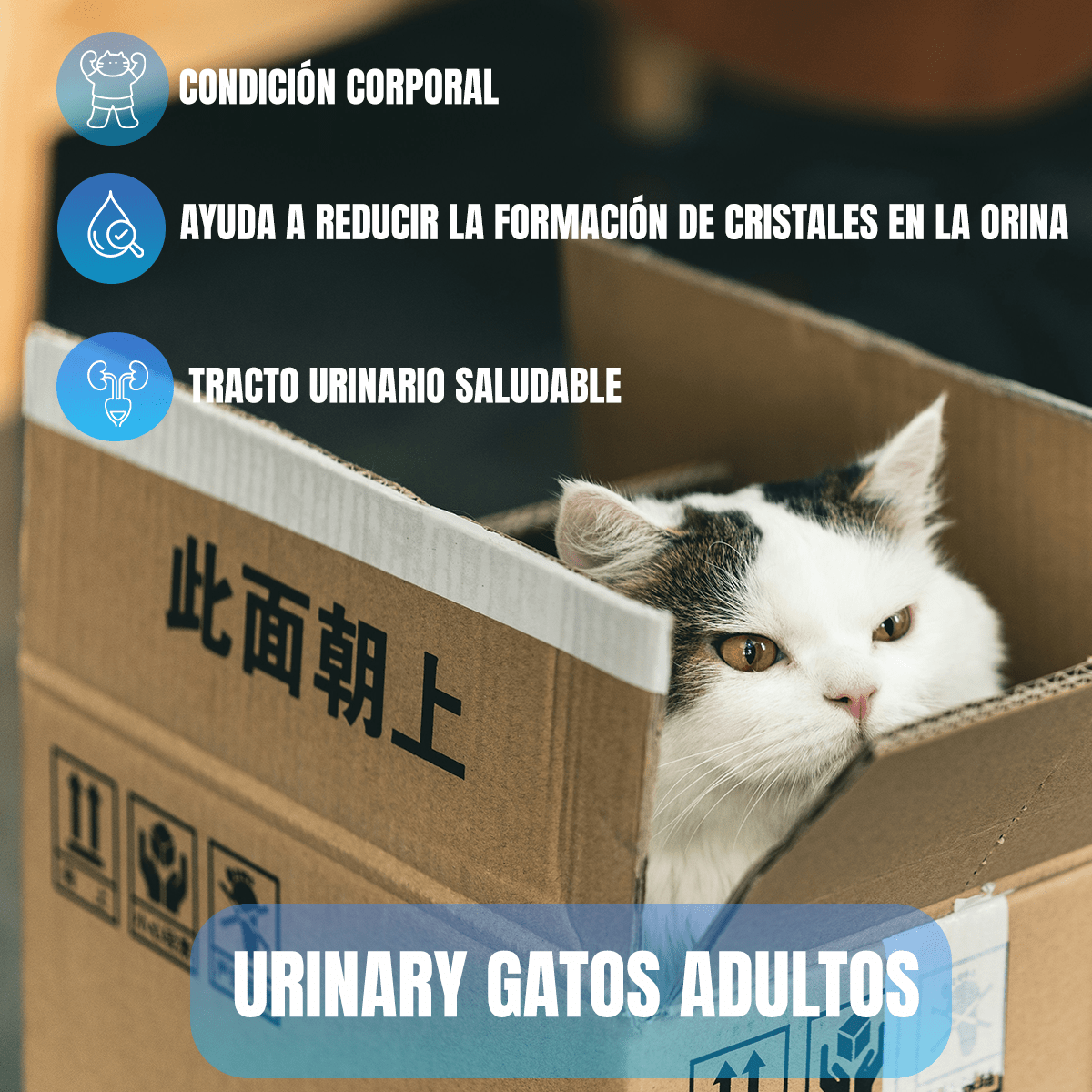 Pack Excellent Gato Adulto Urinary 7.5kg + Toallitas Húmedas - FridaPets - Gato - Alimento - Seco - Excellent