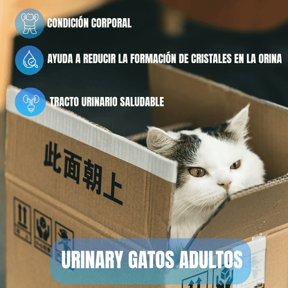 Pack Excellent Gato Adulto Urinary 7.5kg + Toallitas Húmedas - FridaPets - Gato - Alimento - Seco - Excellent