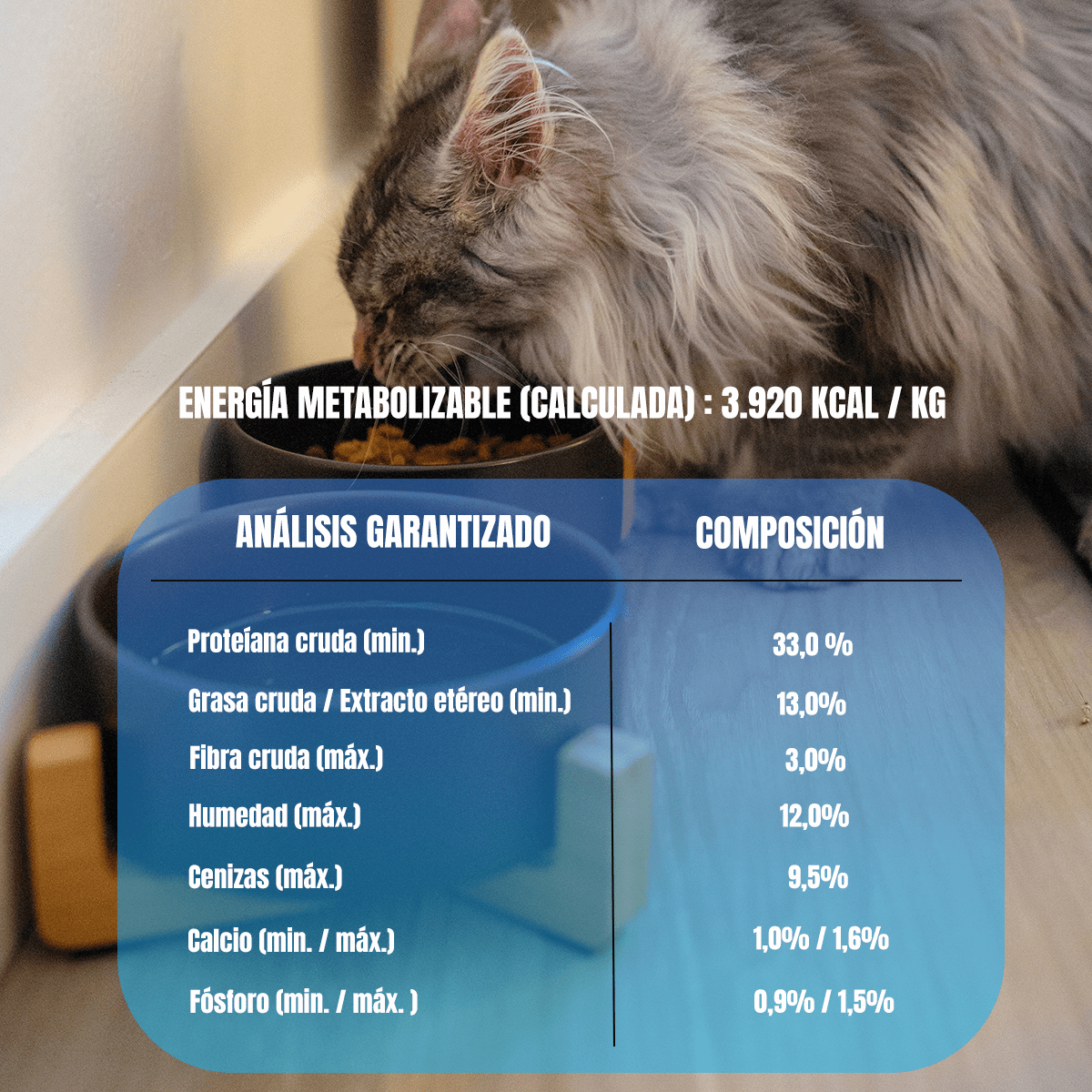 Pack Excellent Gato Adulto Urinary 7.5kg + Toallitas Húmedas - FridaPets - Gato - Alimento - Seco - Excellent