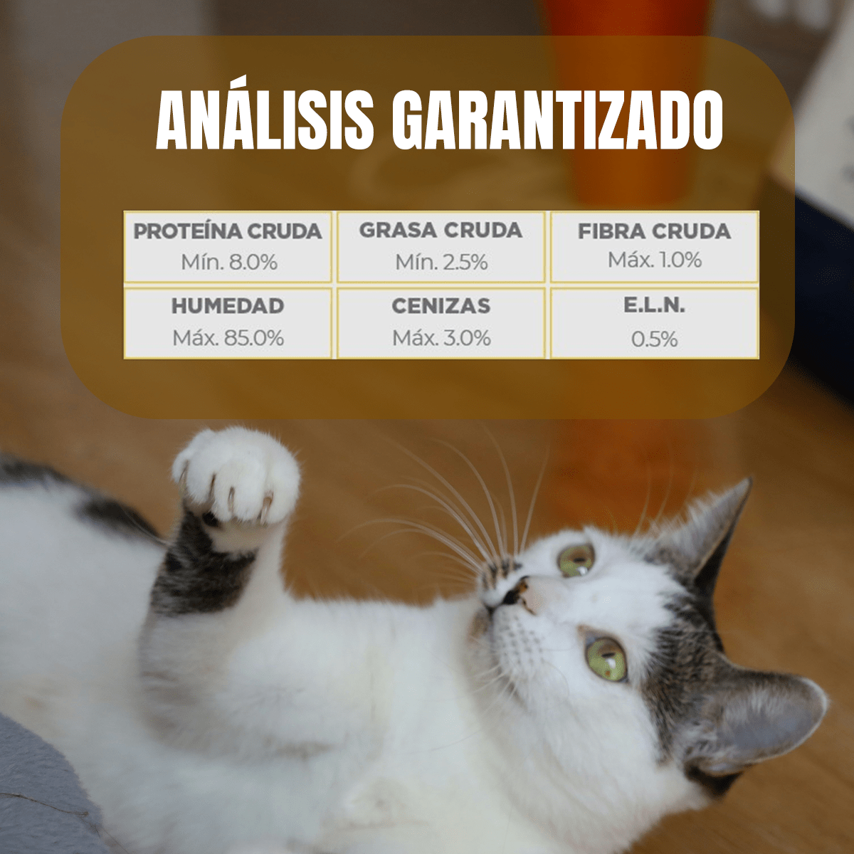 Pack Nupec Gato 30 Latas 15 Urinary & 15 Hairball + Regalo - FridaPets - Gato - Alimento - Húmedo - Nupec