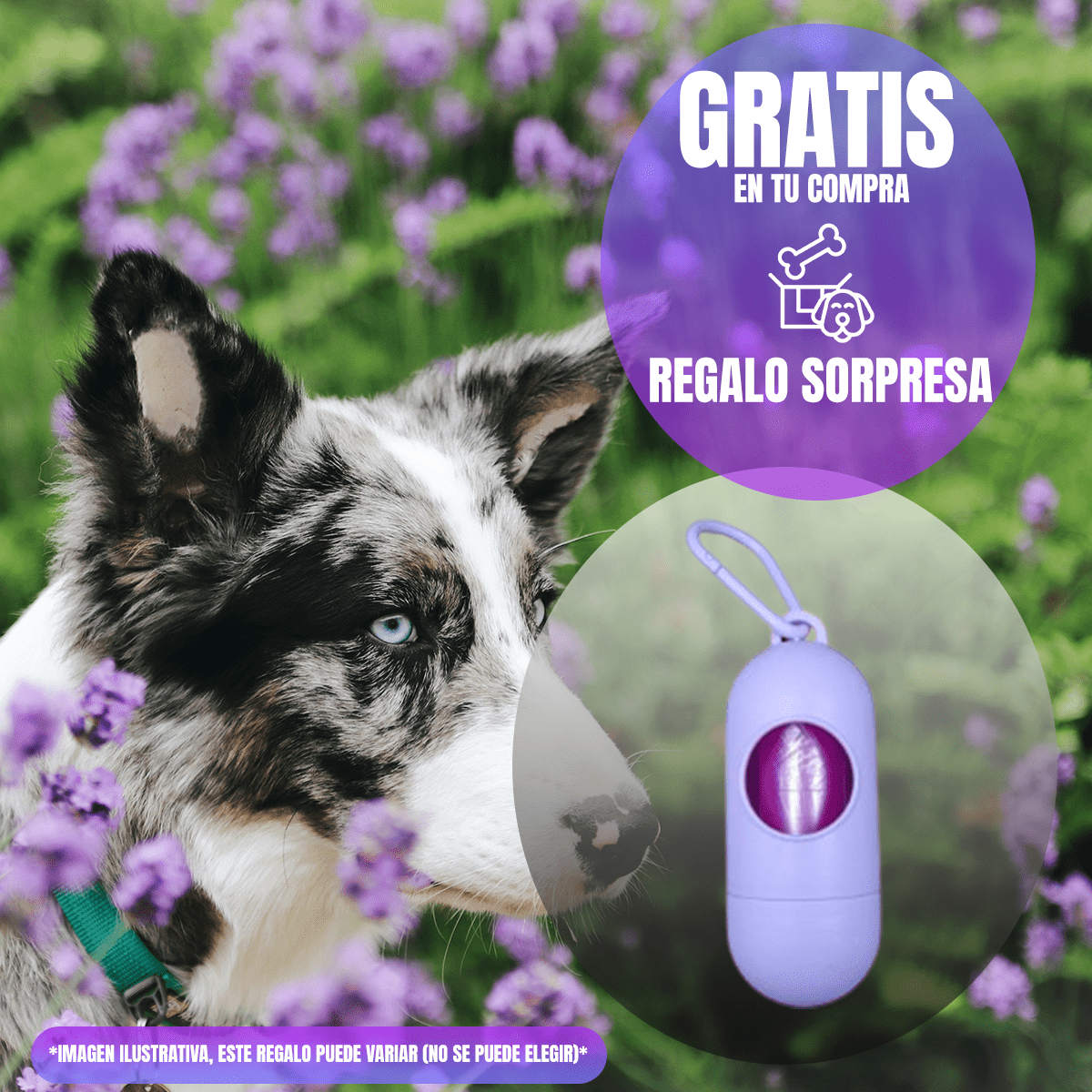 Paq 2 Nupec Renal Care 2kg Cuidado Renal + Regalo para Perro - FridaPets - Perro - Alimento - Seco - Nupec