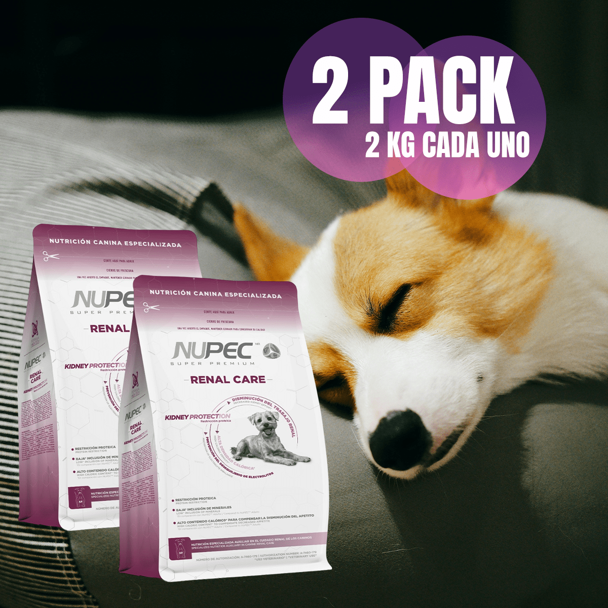 Paq 2 Nupec Renal Care 2kg Cuidado Renal + Regalo para Perro - FridaPets - Perro - Alimento - Seco - Nupec