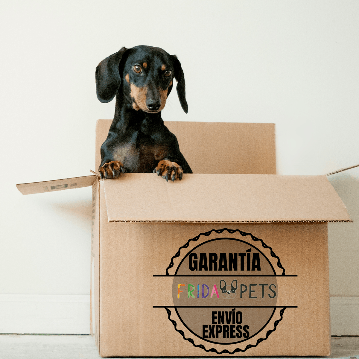 Paquete 2 Costales Nupec Perro Adulto 5kg C/u + Regalo - FridaPets - Perro - Alimento - Seco - Nupec