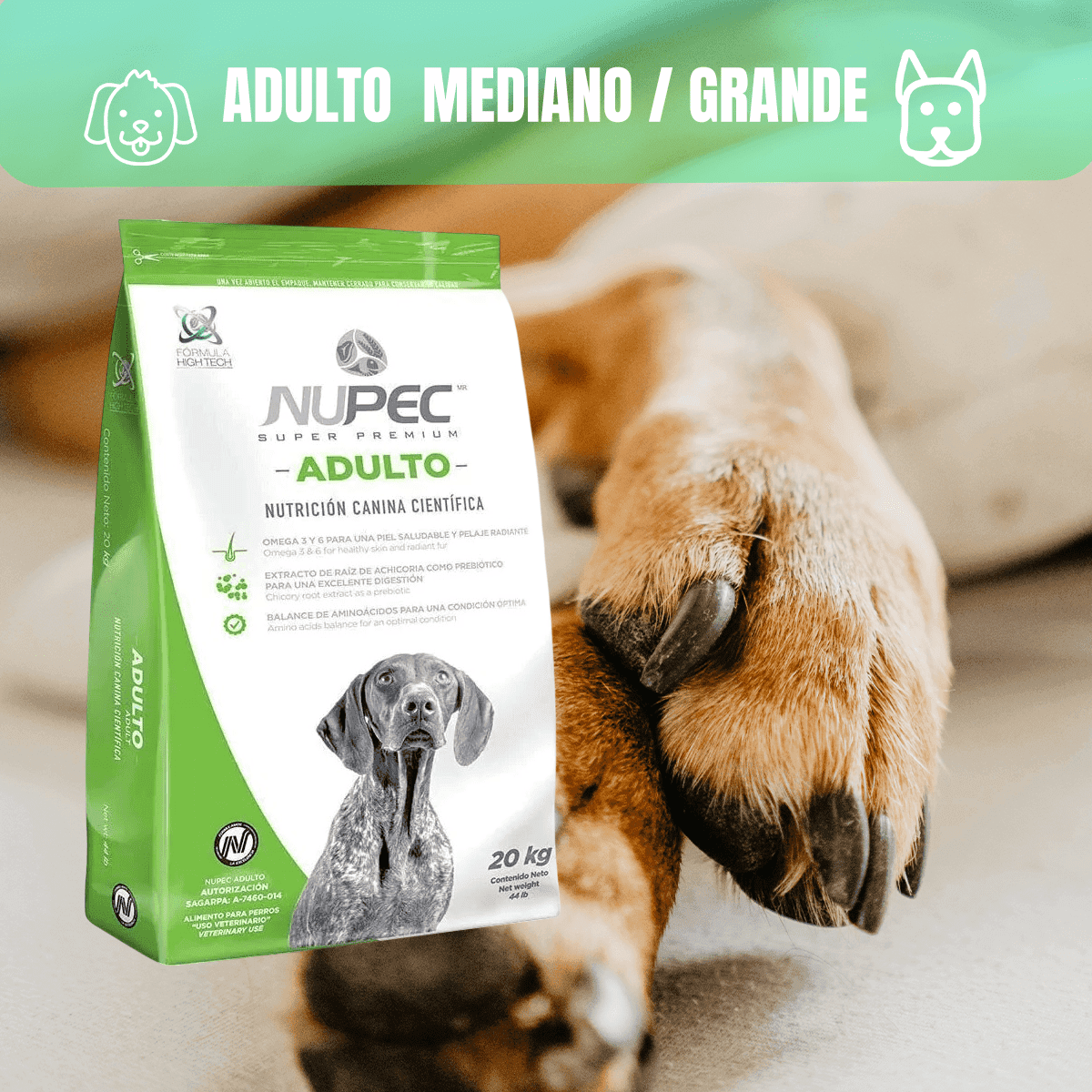 Paquete 2 Costales Nupec Perro Adulto 5kg C/u + Regalo - FridaPets - Perro - Alimento - Seco - Nupec