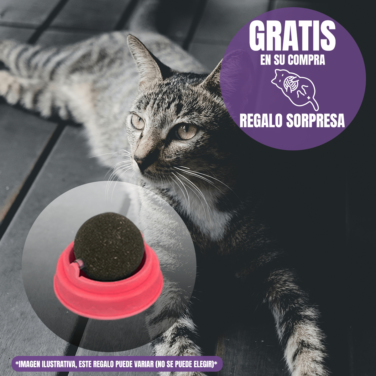 Paquete 2 Nupec Felino Renal Care 1.5 Kg + Regalo Para Gato - FridaPets - Gato - Alimento - Seco - Nupec