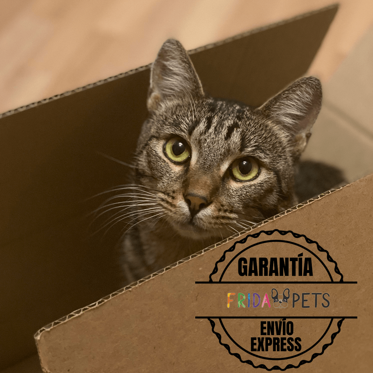 Paquete 2 Nupec Indoor Gato 5kg+ Toallitas Húmedas - FridaPets - Gato - Alimento - Seco - Nupec