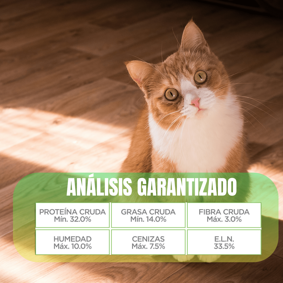 Paquete 2 Nupec Indoor Gato 5kg+ Toallitas Húmedas - FridaPets - Gato - Alimento - Seco - Nupec