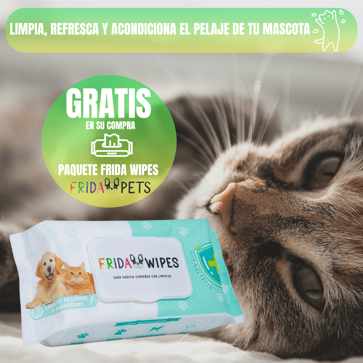 Paquete 2 Nupec Indoor Gato 5kg+ Toallitas Húmedas - FridaPets - Gato - Alimento - Seco - Nupec