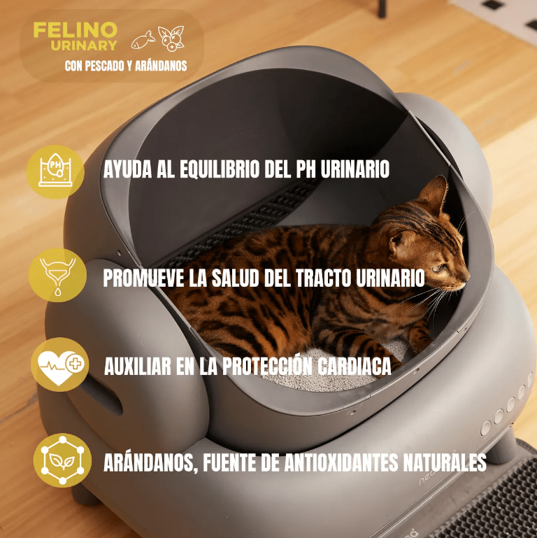 Paquete 20 Latas Nupec Gato 10 Urinary Y 10 Hairball + Regalo - FridaPets - Gato - Alimento - Húmedo - Nupec