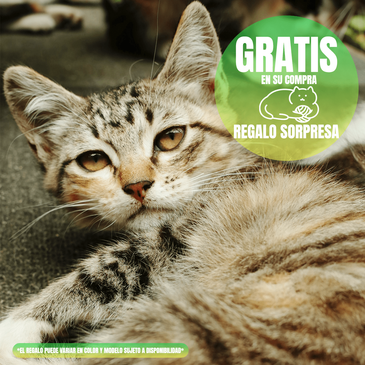 Paquete 20 Latas Nupec Gato 10 Urinary Y 10 Hairball + Regalo - FridaPets - Gato - Alimento - Húmedo - Nupec