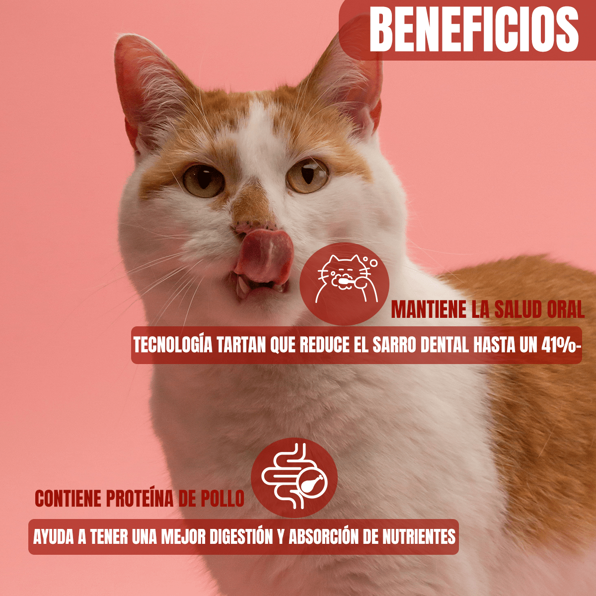 PAQUETE 24 SOBRES DE 85G PROPLAN GATO ADULTO POLLO + REGALO - FridaPets - Gato - Alimento - Húmedo - ProPlan