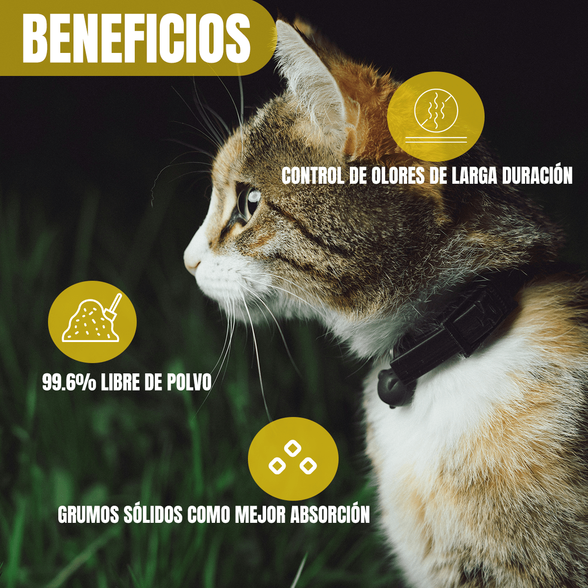 Paquete de 3 Bolsas de Arena para Gato Tidy Cats - 4.54 kg cada una - FridaPets - Gato - Accesorios - Tidy Cats