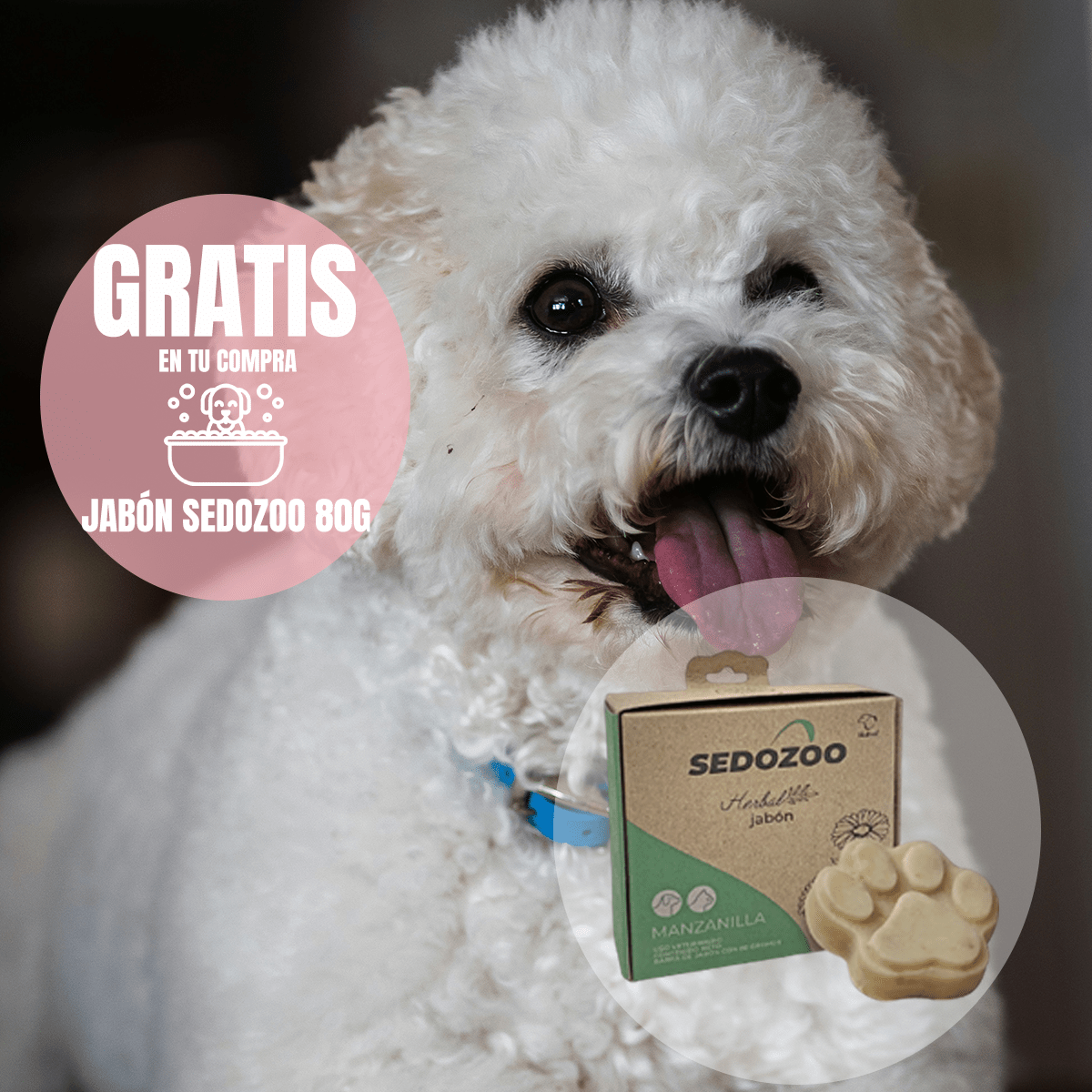 Paquete Nupec Adulto Raza Mini 3kg + Jabón Sedozoo Herbal - FridaPets - Perro - Alimento - Seco - Nupec