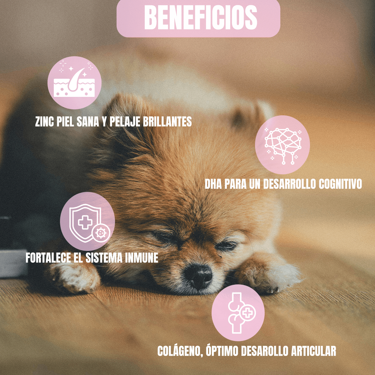 Paquete Nupec Cachorro Raza Mini 3kg + Toallitas Húmedas - FridaPets - Perro - Alimento - Seco - Nupec