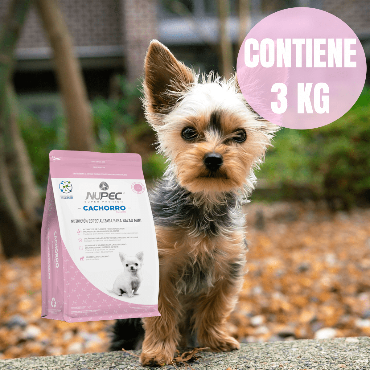 Paquete Nupec Cachorro Raza Mini 3kg + Toallitas Húmedas - FridaPets - Perro - Alimento - Seco - Nupec