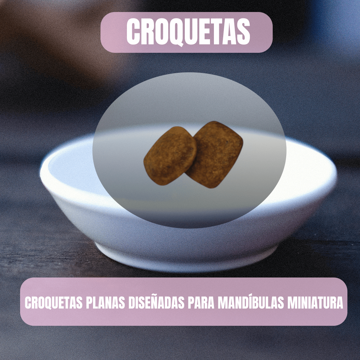 Paquete Nupec Cachorro Raza Mini 3kg + Toallitas Húmedas - FridaPets - Perro - Alimento - Seco - Nupec