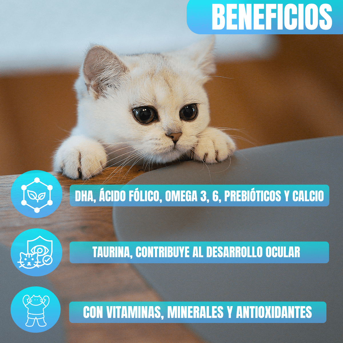 Paquete Nupec Felino Kitten 3kg + Regalo bolita catnip - FridaPets - Gato - Alimento - Seco - FridaPets