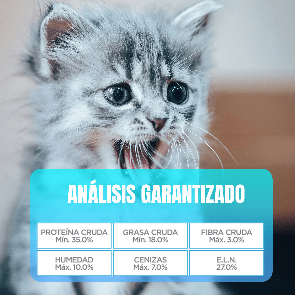 Paquete Nupec Felino Kitten 3kg + Regalo bolita catnip - FridaPets - Gato - Alimento - Seco - FridaPets